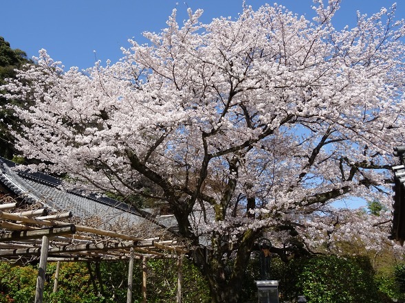 b0299042_22225958.jpg