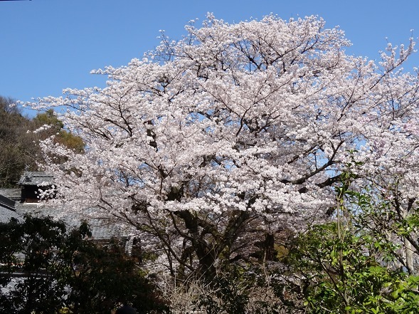 b0299042_22233725.jpg