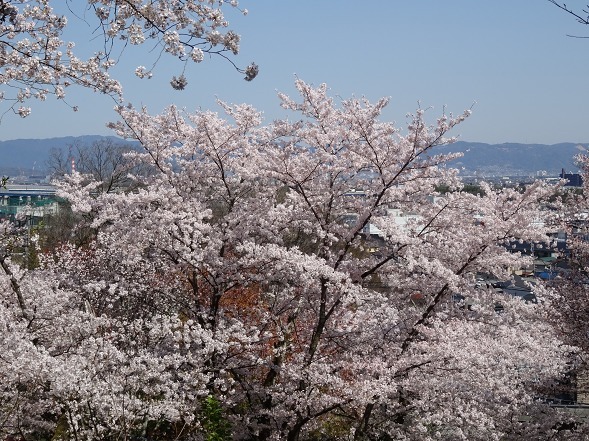b0299042_22241208.jpg