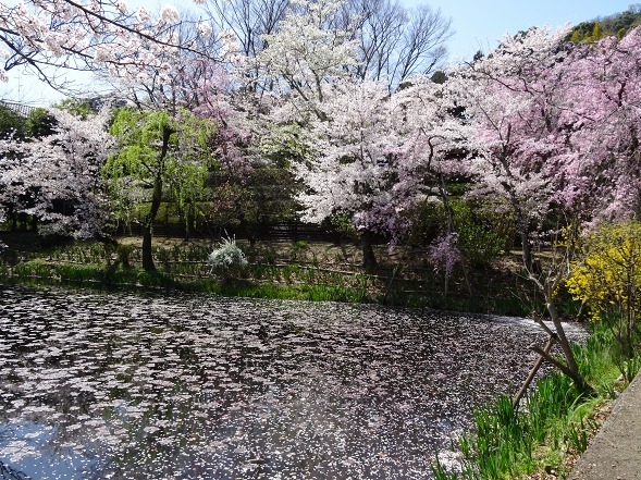 b0299042_22243059.jpg