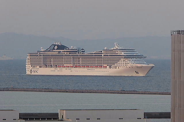 MSC  SPLENDIDA 号、クサイチゴの実_c0051143_22554094.jpg