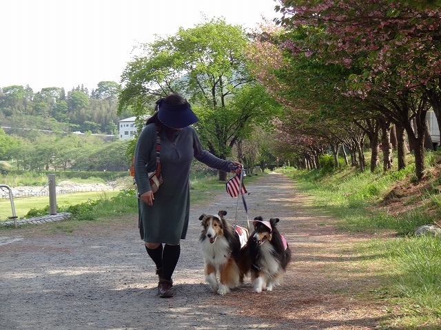 水上温泉、楽しかったので2回目、ゴー!_e0195743_02014440.jpg