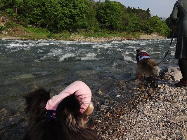 水上温泉、楽しかったので2回目、ゴー!_e0195743_02020938.jpg