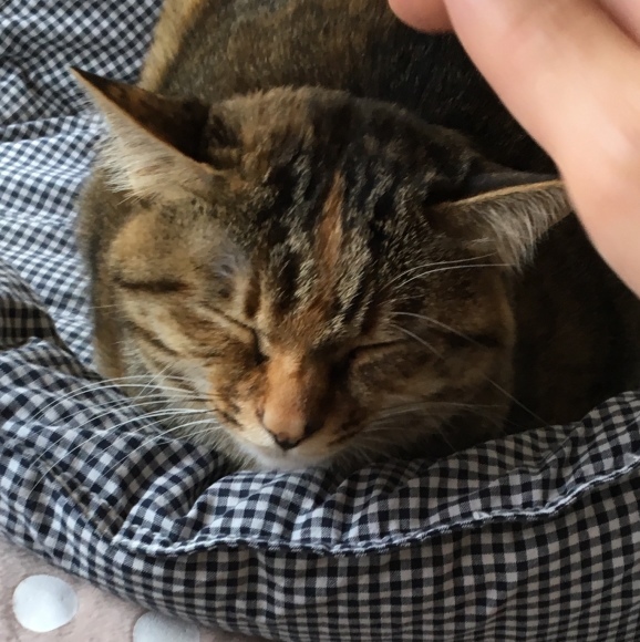 f0372445_09215356.jpeg