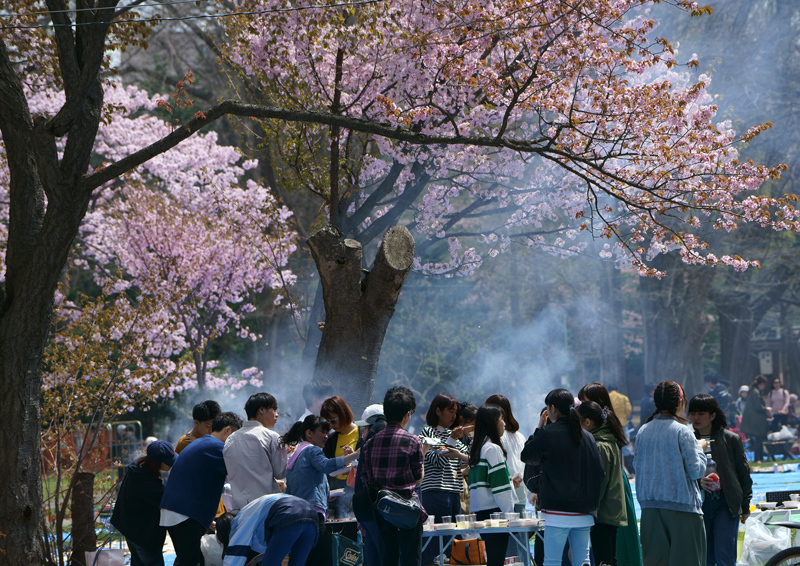 2018\'　　桜　・　梅（円山公園）_a0112747_09230935.jpg