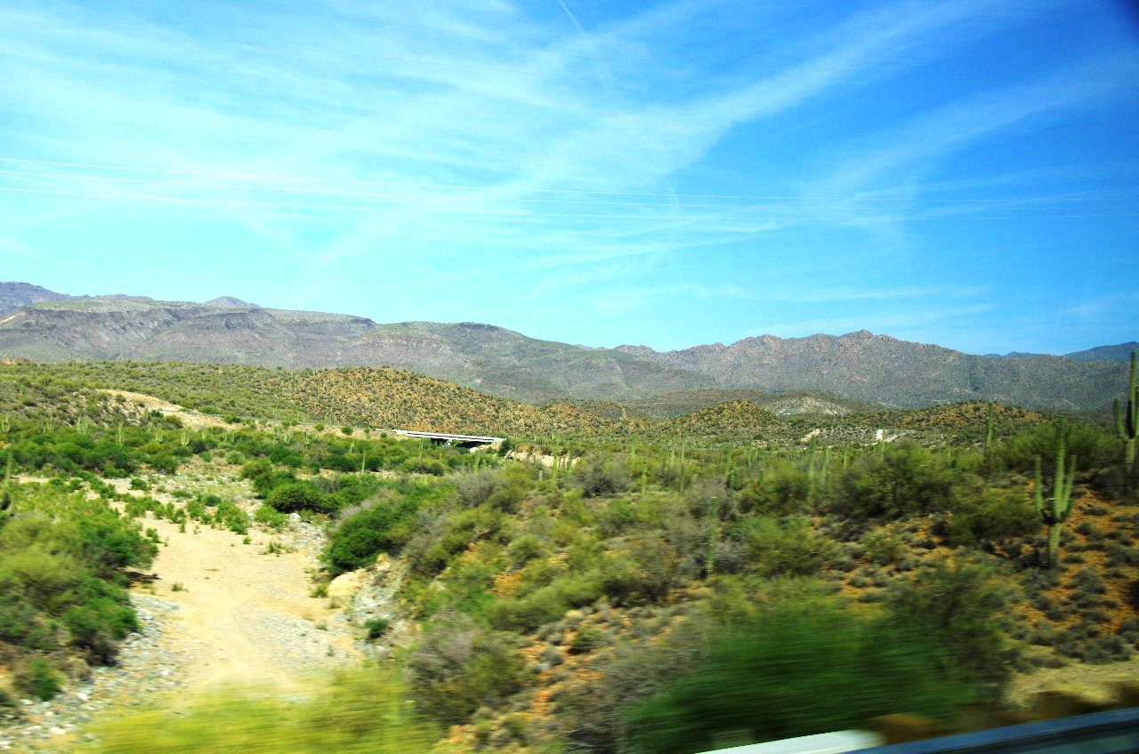c0011649_00230678.jpg