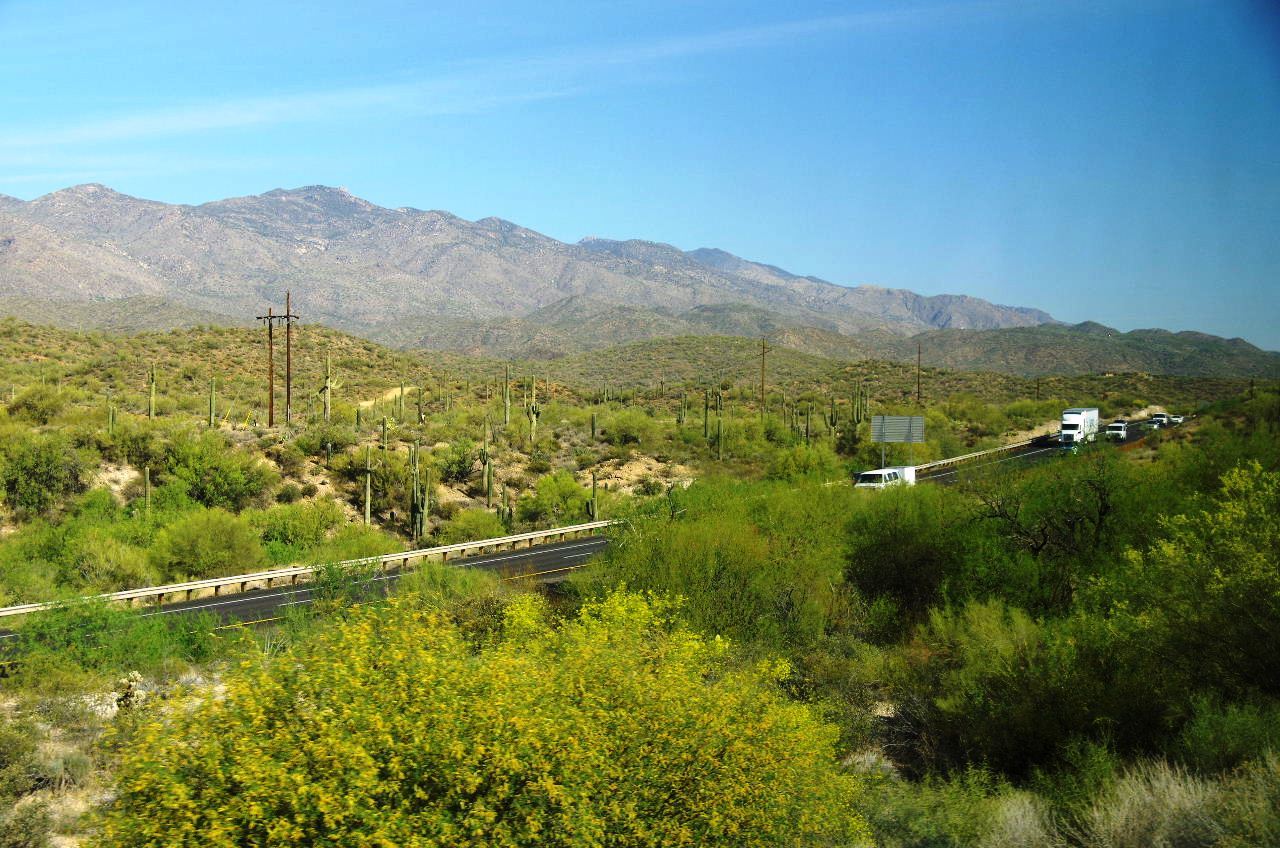 c0011649_00234925.jpg