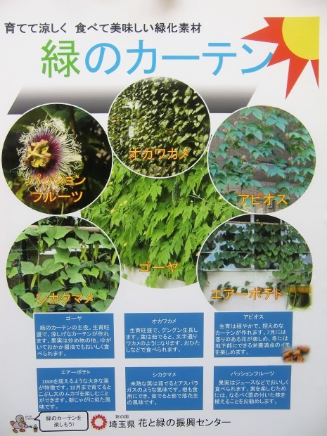 f0329849_13525144.jpg