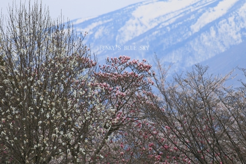 c0145250_09050157.jpg