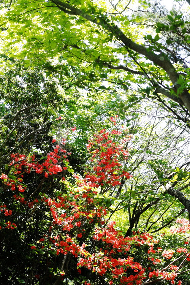 b0078651_21013657.jpg