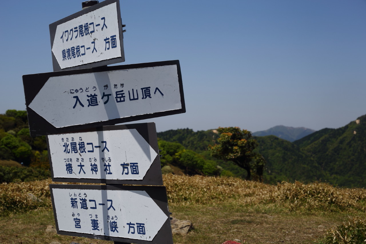 b0078651_21115200.jpg