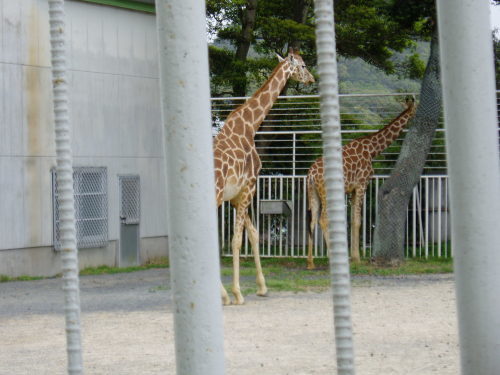 c0017651_00030108.jpg