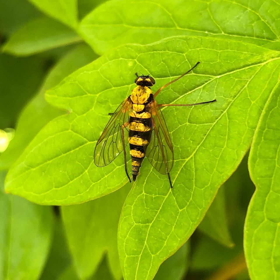 c0123363_1045935.jpg