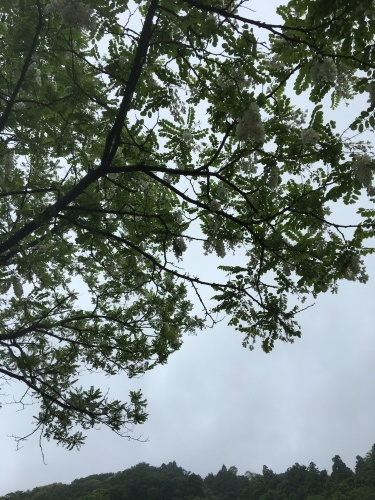 c0248467_00130671.jpeg