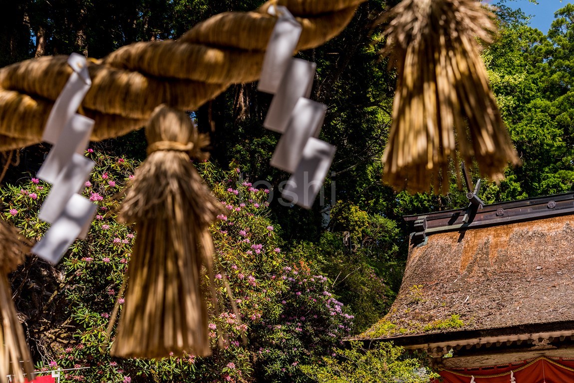 玉置神社_c0350572_14085852.jpg