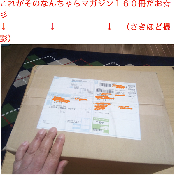 恐怖!こうして人は虚偽情報により犯罪者に仕立て上げられる!酒井日香(藤谷日香)の恐ろしい手法_e0171573_10414229.jpg