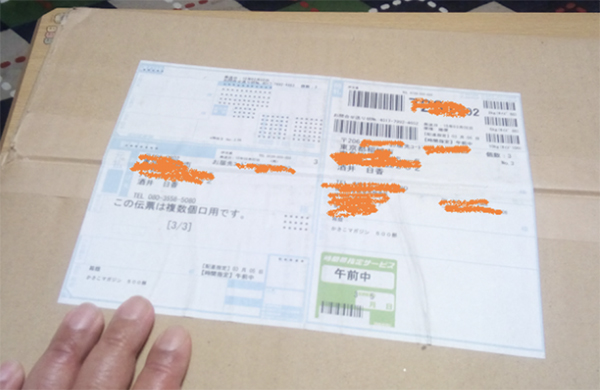 恐怖!こうして人は虚偽情報により犯罪者に仕立て上げられる!酒井日香(藤谷日香)の恐ろしい手法_e0171573_10425778.jpg