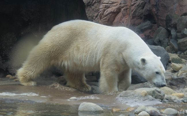 b0014576_15012785.jpg