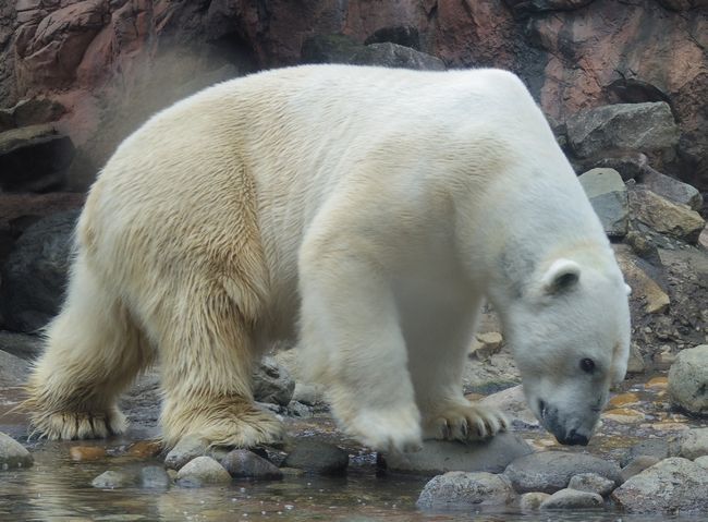 b0014576_15013169.jpg