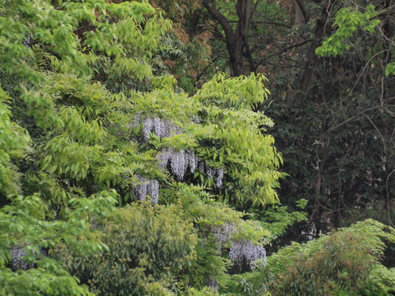d0054276_19385889.jpg