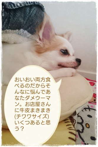 f0207979_236123.png