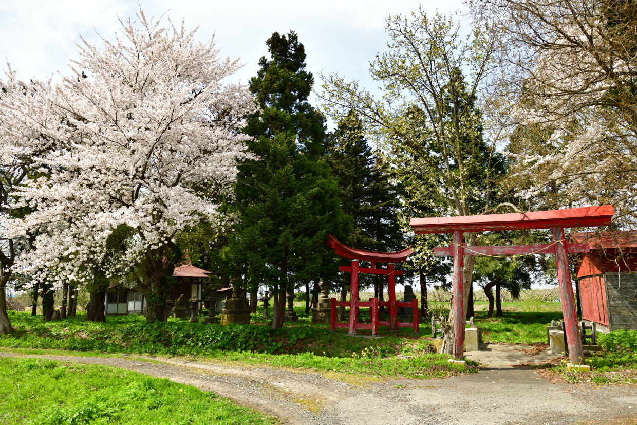 b0001380_03154561.jpg