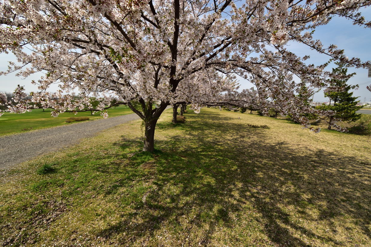 b0001380_03345998.jpg