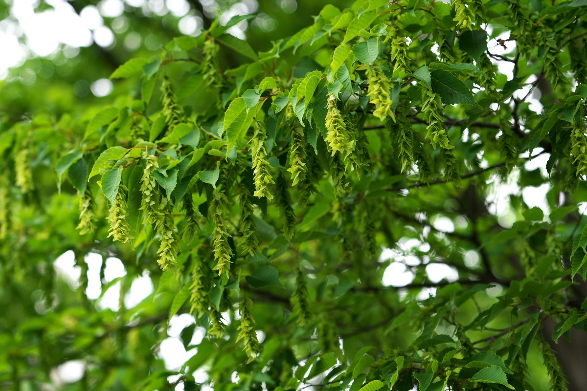 a0083081_14014669.jpg