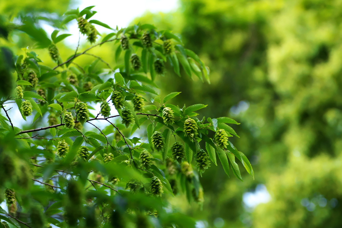 a0083081_14015543.jpg