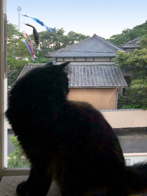 a0308381_08530334.jpg