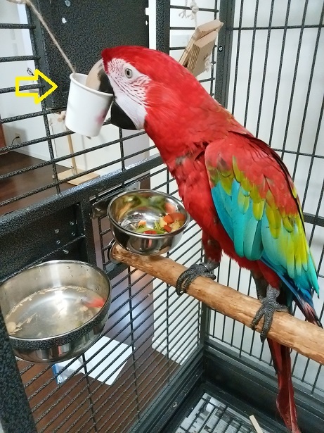 f0234590_10171687.jpg