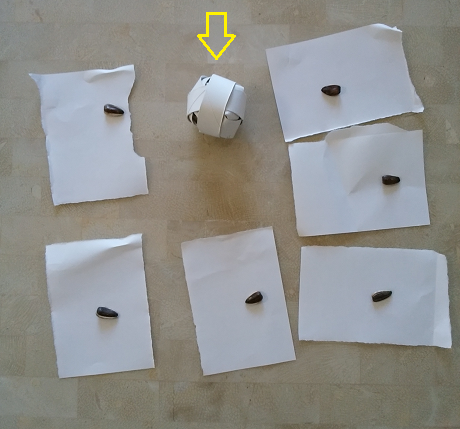 f0234590_10201005.png