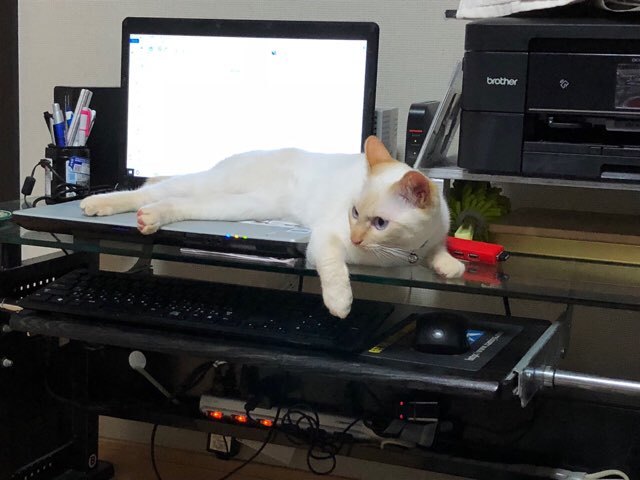 b0035391_21014644.jpeg