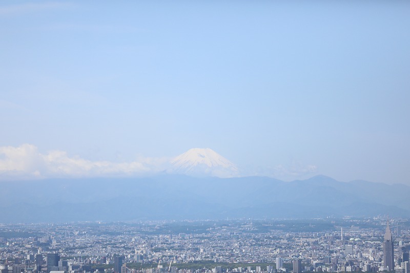 b0190092_20403767.jpg