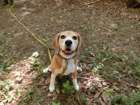 a0319693_1683071.jpg