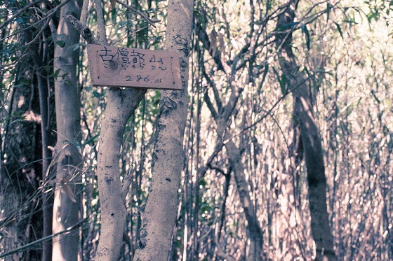 e0176993_07291086.jpg