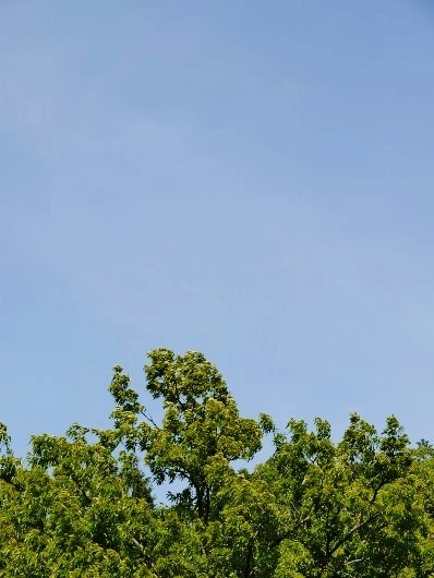 e0167795_16433096.jpg
