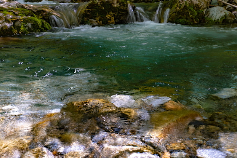 c0339900_21424030.jpg