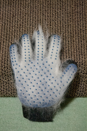 f0239100_15220266.jpg