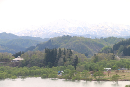 新緑の白川湖畔＆残雪の飯豊山・４_c0075701_22144042.jpg