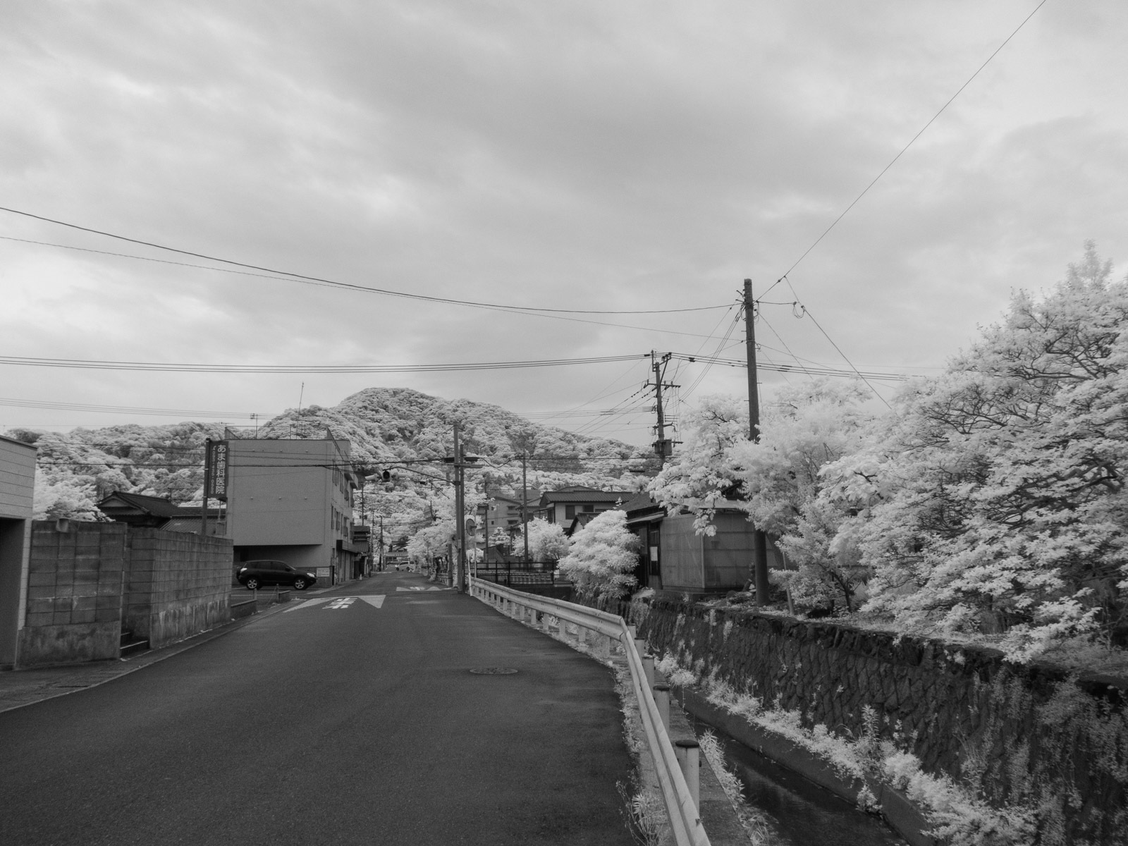 f0083903_11150430.jpg