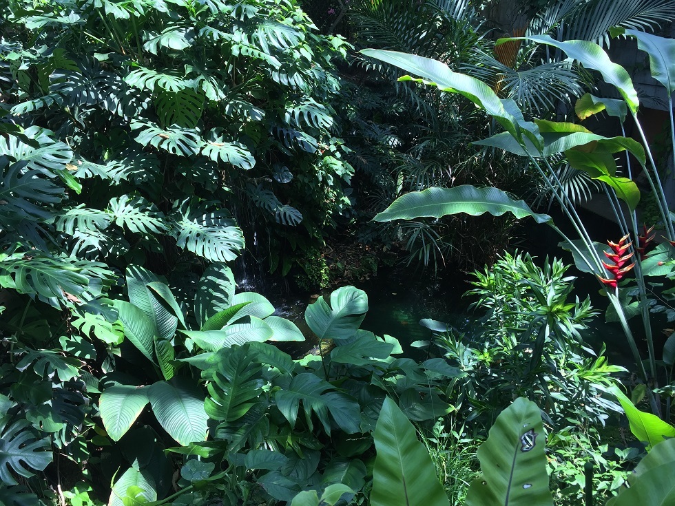 e0242504_04500140.jpg