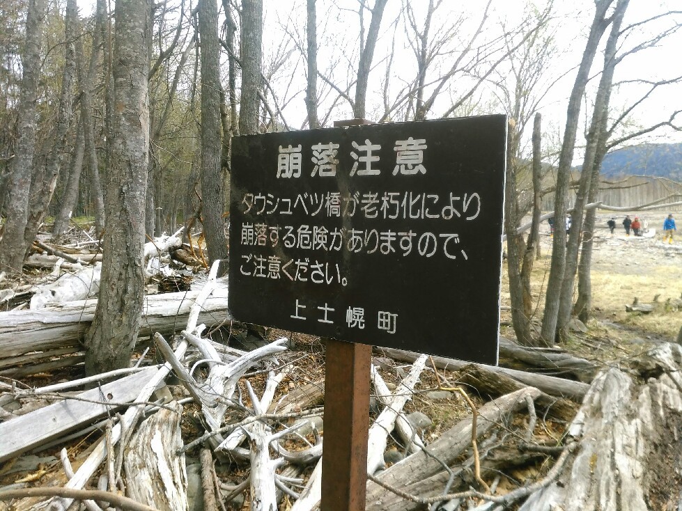 c0047207_20175643.jpg