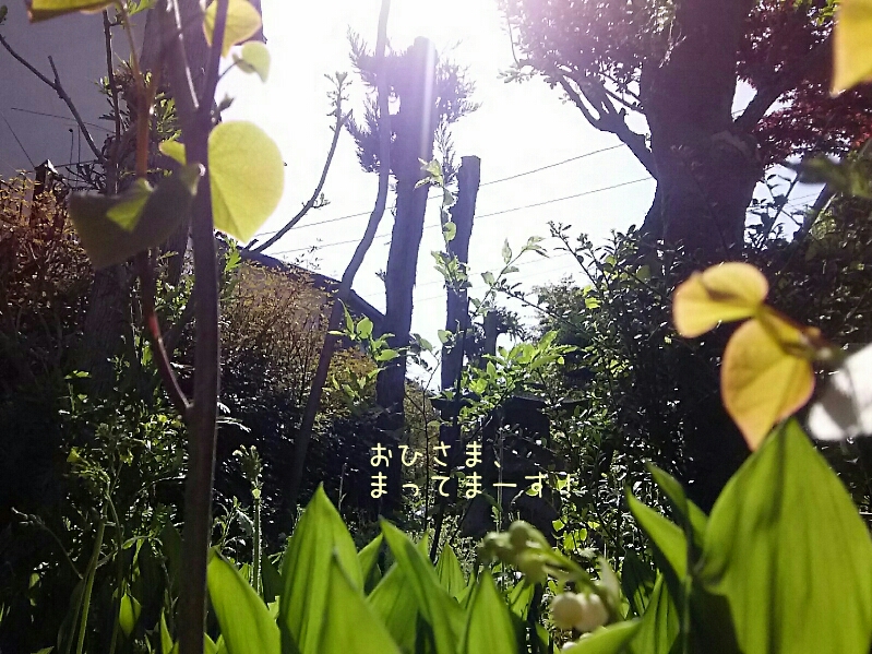 f0024708_16245512.jpg