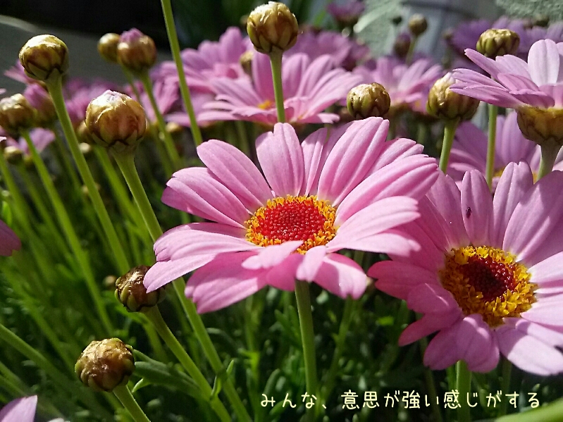 f0024708_16245578.jpg