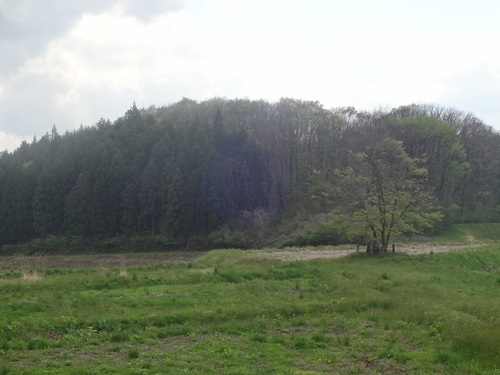 c0279611_14324911.jpg