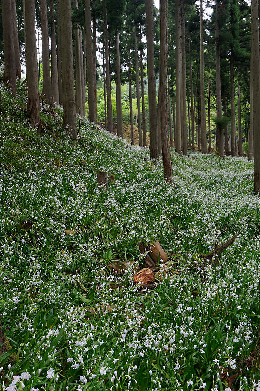 f0032011_21385163.jpg