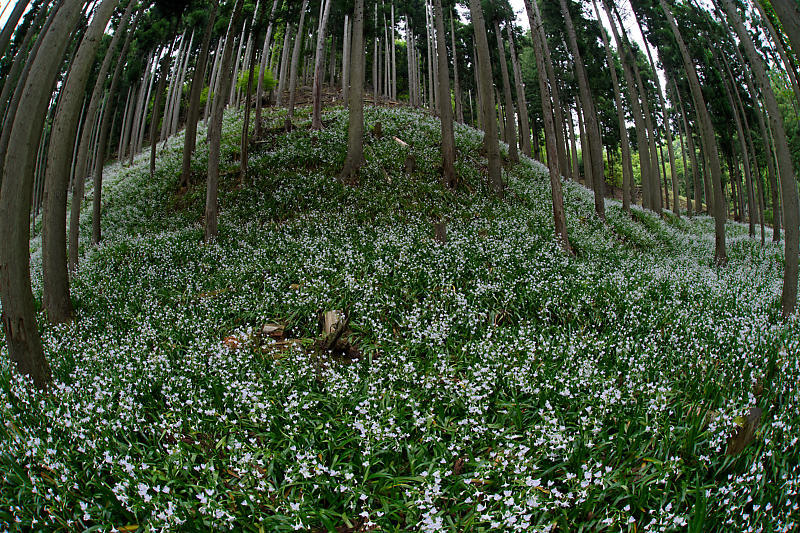 f0032011_21385280.jpg