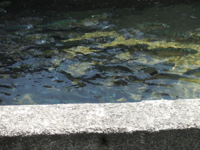 f0210811_10514052.jpg