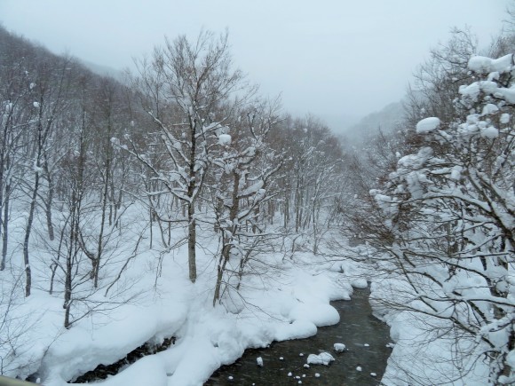f0032812_10032008.jpg